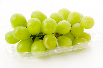 種無しぶどう グリーンシードレスグレープ