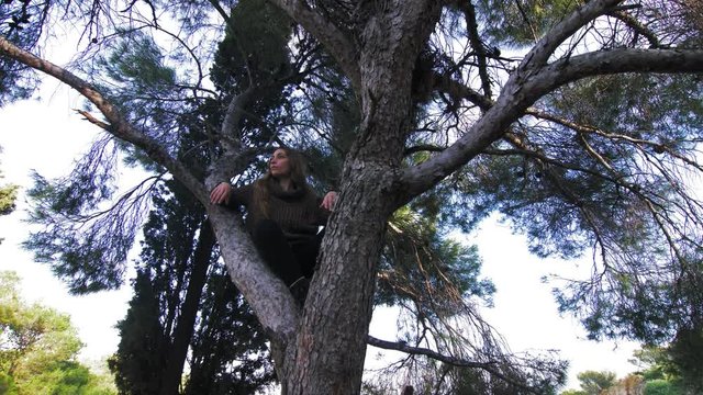 Young woman sitting high on a pine tree pondering, gimbal circling her