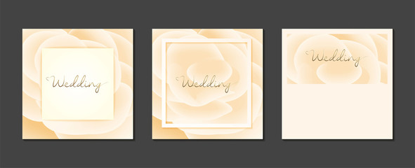 Minimal wedding invitation cards flower templates soft color and frame