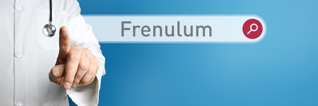 Frenulum. Arzt im Kittel zeigt mit dem Finger auf ein Suchfeld. Das Wort Frenulum steht im Fokus. Symbol f&uuml;r Krankheit, Gesundheit, Medizin