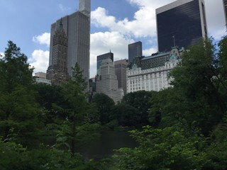 Fototapeta na wymiar Central Park New York 2019