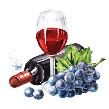 Bottle and glass of Red wine with vine leaves and grape berries. Hand drawn watercolor illustration isolated on white background