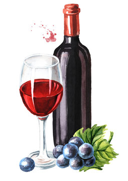 Bottle and glass of Red wine with vine leaves and grape berries. Hand drawn watercolor illustration, isolated on white background