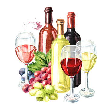 Bottles and glasses of Rose, Red and White wine with vine leaves and grape berries. Hand drawn watercolor illustration isolated on white background