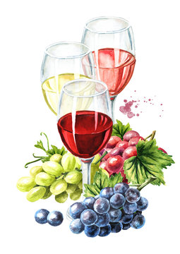 Glasses of Rose, Red and White wine with vine leaves and grape berries. Hand drawn watercolor illustration isolated on white background