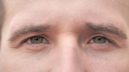 Fototapeta premium Blinking Eyes of Beard Casual Man