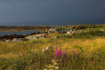 Connemara (Ireland), - July 20, 2016: Connemara coast landscape, Co. Galway, Ireland