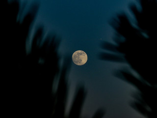 full moon in the sky