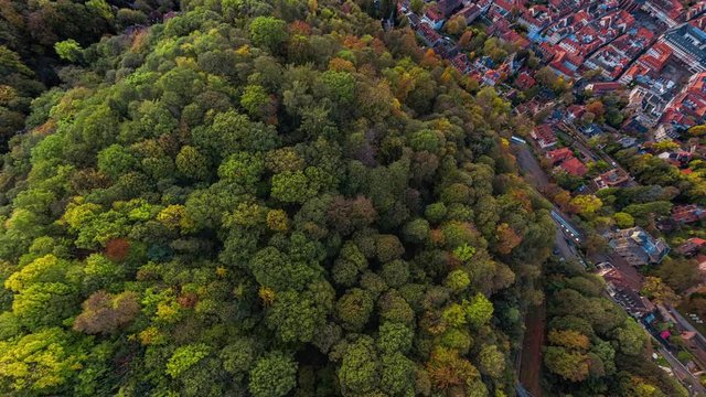 Heidelberg