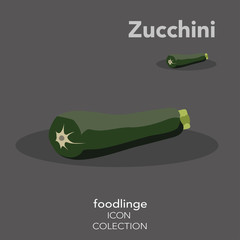 Colorful vegetable icon of illustrated Zucchini.