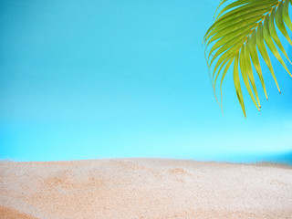 Fototapeta na wymiar Tropical palm leaves with sands.