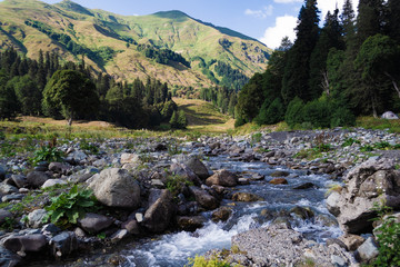 mountain river flows in the middle of a beautiful green valley