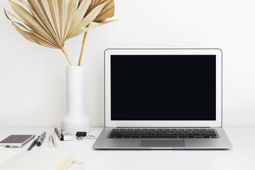Modern technology, communication and networking concept. White desk with stationary items, decorative plant in vase and generic portable computer with blank copy space display for your content