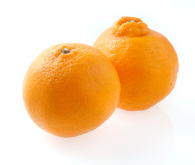 　はるみみかん　フルーツ