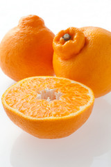 　はるみみかん　フルーツ