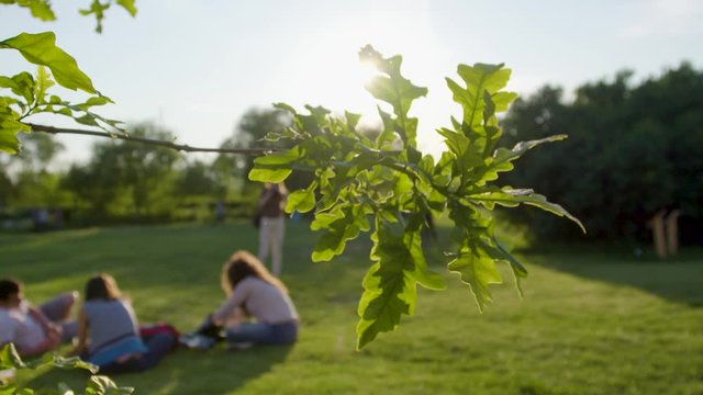 Slow motion out of focus people standing on green grass at sunset.