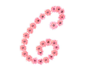 Watercolor drawing Pink flower alphabet