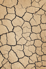 Vertically oriented photo of dry cracked dehydrated soil. Heat, drought, climate change, global warming concept. Abstract texture background