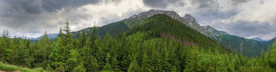 Fototapeta premium Rocky massif with forest on foreground against the cloudy sky