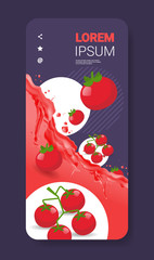 fresh tomato juice liquid splash realistic splashes healthy fruits splashing waves smartphone screen mobile app vertical copy space vector illustration