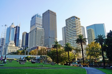 Fototapeta na wymiar Skyscrapers in Sydney, view from Royal Botanic Gardens