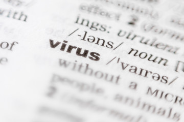 Virus - Focused close up view of a printed word in the dictionary