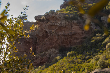 naturaleza