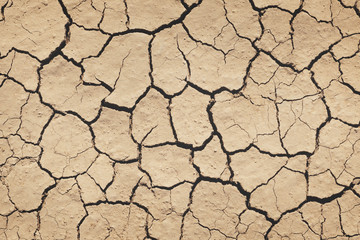 Top view of the dried up cracked soil. Drought, crop failure, global warming, climate change concept. Abstract texture background
