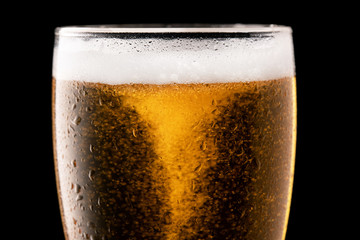 Glass of fresh beer isolated