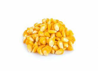 Boiled corn isolated on a  white
