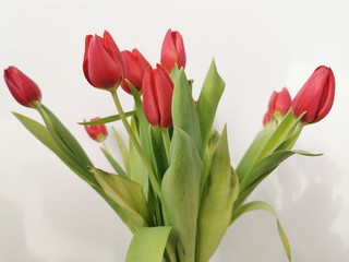 A bouquet of beautiful pink tulips. Holiday celebration. Spring season. Romantic decorative bouquet