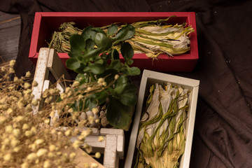 Dried pitaya flowers and packaging on the table