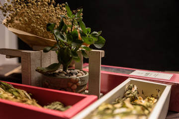 Dried pitaya flowers and packaging on the table
