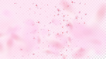 Nice Sakura Blossom Isolated Vector. Realistic Showering 3d Petals Wedding Pattern. Japanese Funky Flowers Wallpaper. Valentine, Mother's Day Realistic Nice Sakura Blossom Isolated on Rose