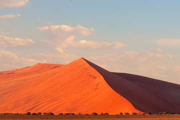 Fototapeta na wymiar The famous 45 red sand dune in Sossusvlei. Africa, Namib Desert