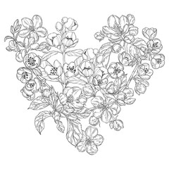 Flowering branches of apple, jasmine and quince on white. Heart shaped composition. Vector. Perfect for greeting cards and invitations or an element for your design.