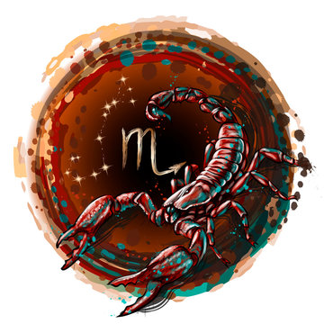 Scorpio is a sign of the zodiac. Artistic, color, hand-drawn image of the zodiac Scorpio with a symbol and star scheme in watercolor style on a white background.