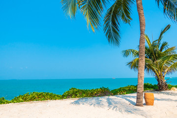 Beautiful tropical nature of beach sea ocean bay around coconut palm tree
