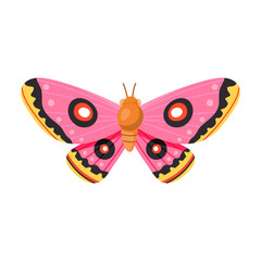 Butterfly vector icon.Cartoon vector icon isolated on white background butterfly .