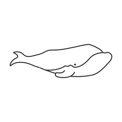 Obraz premium Whale right vector icon.Outline vector icon isolated on white background whale right.