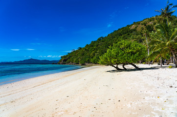 Fototapeta na wymiar Malcapuya Island in Coron, Philippines, Asia