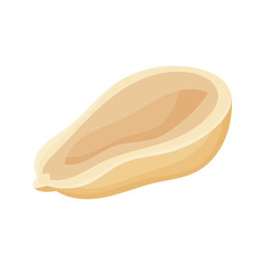 Fresh peanuts closeup. Colorful simple flat cartoon style. Isolated vector illustration.