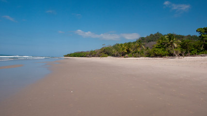 calm beach with jungle background