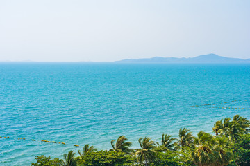 Beautiful tropical nature of beach sea ocean bay around coconut palm tree