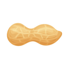 Fresh peanuts closeup. Colorful simple flat cartoon style. Isolated vector illustration.