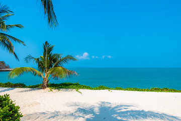 Naklejka na ściany i meble Beautiful tropical nature of beach sea ocean bay around coconut palm tree