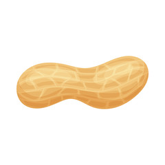 Fresh peanuts closeup. Colorful simple flat cartoon style. Isolated vector illustration.