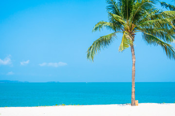 Beautiful tropical nature of beach sea ocean bay around coconut palm tree