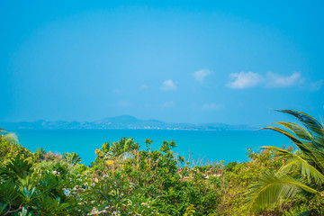 Fototapeta na wymiar Beautiful tropical nature of beach sea ocean bay around coconut palm tree