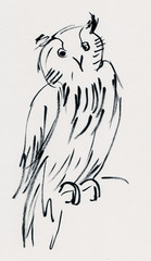 instant sketch owl,